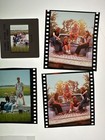 Dawson Creeks Cast Katie Holmes James Van D 2 25 Photo Transparency  1 Press Kit