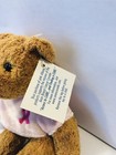 Avon Breast Cancer Crusade Brown Teddy Bear With Pink Ribbon Shirt 2001 W  Tags