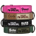 Personalized Military Pet Dog Collar Tactical With Custom Name Print Patch L Xl