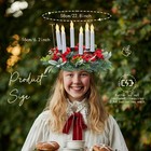 Hoteam Artificial Christmas St  Lucia Crown Saint Grapevine Multiple Colors 