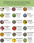 Bulk Wildflower Seed Mix - 187 500 Seeds  All Perennial  Covers 1000 Sqft