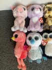 Ty Beanie Boos Plush Lot Of 13 Nwt Cat Leopard Fox Wolf Flamingo Penguin Owl Pig