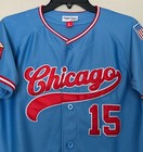 Chicago American Giants Negro League Baseball Jersey Youth Size Large Boys Kids