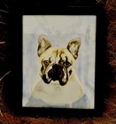 Hand Painted Fawn French Bulldog  Frenchie Dog