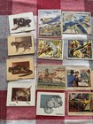 Vintage Non-sport  1930   s-1950   s  - Lot Of 40  Cards - Horror Of War   More