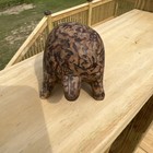 Vintage Hand Carved Wooden Turtle Figurine Wood Burned Art 5  Small