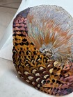 Vintage Multicolor Pheasant Feather Women s Hat