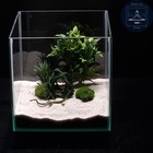 Aquascape Tunnel Cave 3d Printed Aquarium Terrarium Archway For Fish Shrimp