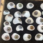 Lot Of 51 Antique German Hand-blown Human Prosthetic Eyes 