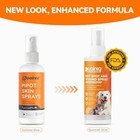 Puainta Hot Spot   Itch Relief Spray For Dogs - Quantum Silver Skin Treatment 2o