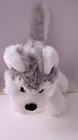 Webkinz - Lil    Kinz Husky - Ganz- No Code- Pre-owned