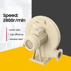 Centrifugal Medium Pressure Blower 110v 60hz 550w Forge Blower Air Blower Fan