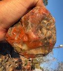       rr     Anasazi Hand Hammer mano Stone  Colorful Petrified Wood  Az      