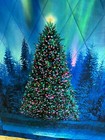 Throw Or Lap Quilt Stunning Christmas Tree With Aurora - Handmade Cotton