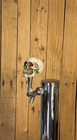 Human Skull Beer Tap Handle 3 75   skeleton Bone Bones Scary Halloween