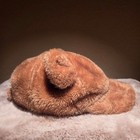 Baby Gap Toddler Teddy Bear Hat Cute Adjustable Warm Baseball Cap One Size