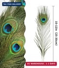 Ihufeather 10pcs Real Natural Peacock Eye Feathers 10-12 Inch For Diy Craft Flor