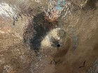 Sabian Used 22 In  Artisan Vault Ride Cymbal 2540g