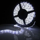 5m Smd 5050 3528 5630 60led m 300leds Cool warm White Waterproof Led Strip Light