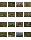 Cheetahs  Leopards And Jaguara Corel Draw Stock Photos And Images