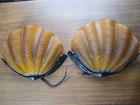 Vintage Deco Designs Sasaparilla 1980s Cast Glass Wall Sconces Lights Pair