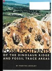 Dinosaur Ridge   Fossil Tracks Printed Reference Materials For Fans   Educators