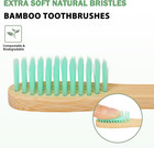 8 Bamboo Toothbrushes Organic Natural Extra Soft Sensitive Teeth Gums Bpa Free