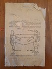 Woman s Home Conpanion Rag Doll Patterns