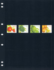  5 55 Scott Value - 1997 Barbados Fruits Locally Grown Caribbean Cv Mnh Nh Umm