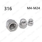 316 Stainless Steel Hex Cap Nuts Hex Acorn Nuts M3 M4 M5 M6 M8 M10 M12 M16 M24
