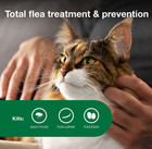 New Date Flea Spot Treatment For Cats  Over 9 Lbs  6 Doses Free Shipping