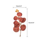 40pcs Artificial Eucalyptus Stems Silver Dollar Eucalyptus Leaves Dark Red