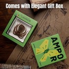 Taxidermy Octopus Specimen In Resin     Real Preserved Marine Animal Specimen  O