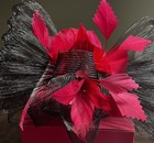  Jacques Vert 029613 Fascinators hat New In Box