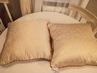 Croscill Daphne Home Embroidered Floral Decorative Pillows Roped Trim 16 