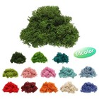 Preserved Reindeer Moss 4oz Fake Moss For Crafts Green
