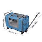 Dog Travel Bag Pet Carrier For Small Cats Dogs Pet Carrier Travel Bag With Ideal