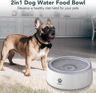 3l Dog Water Bowl Splash Proof Pet Water Dispenser With Filters For Dogs cats