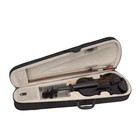 Fodfactory 4 4 Full Size Acoustic Violin Kit W case Bow Rosin - Black