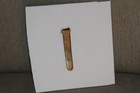 British Army Uniform Cap Badge  The Bedfordshire Regiment