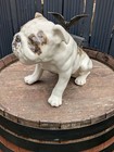 Large Winstanley British Bulldog Size 10