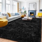 Area Rugs For Bedroom Living Room Non-slip Fluffy Shag Floor 4 X 6 Feet Black