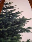 Ikea Christmas Tree Fabric Decorative Panel Xmas Wall Hanging Vinter 2014