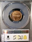 1981 Error Pcgs Ms62 Huge 40  Indent Lincoln Cent Nice Bu   Coin Nr