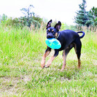Kong Jumbler Football - Interactive Dog Toy For Dog   Puppy Playtime - Fetch Toy