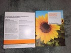 Dr  Hauschka Skin Care Radiant You Lavender Bath Cleansing Cream Toner Mask Set