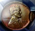 1951d Error Pcgs Double Struck Lincoln Wheat Cent Unc   Bu Coin Rainbow Tone Nr