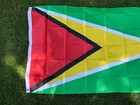 Guyana Flag National Banner Of Guyana Indoor Or Outdoor 3x5 Foot