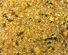 Buy 1 Get 2   higgins Protein Egg Food For All Birds   freeships