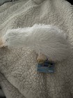 Webkinz Googles Platypus New With Sealed Code White Hm021 Retired